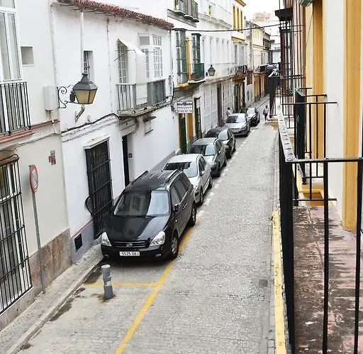 Naranjas Jerez de la Frontera
